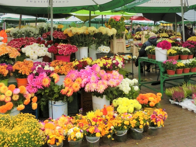 花屋さん